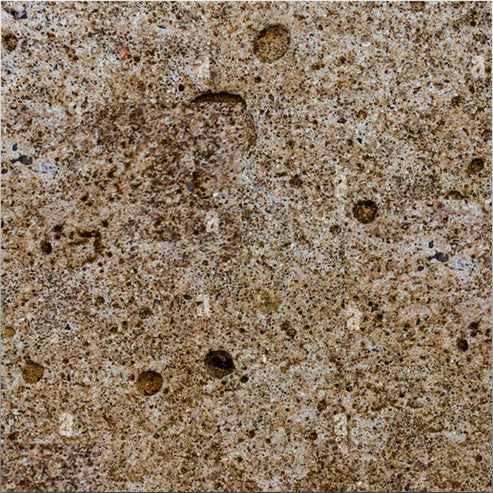 Light Brown Granite